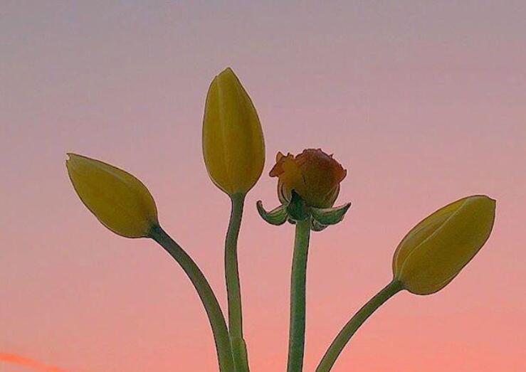 励志说说文案正能量短句