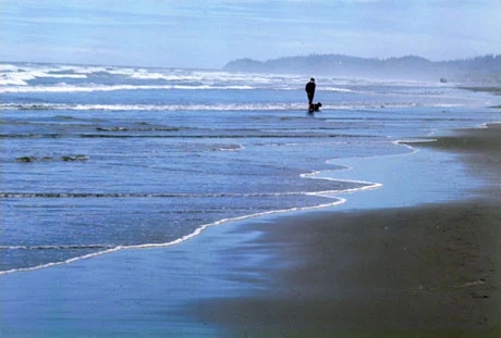 看大海思念人的句子文案