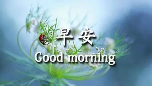 朋友之间的问候语