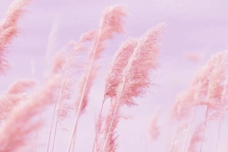 想念大家的句子文案