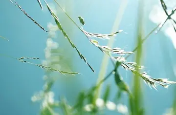 形容十一月份的优美句子文案