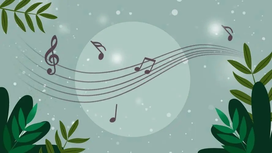 关于音乐的文案