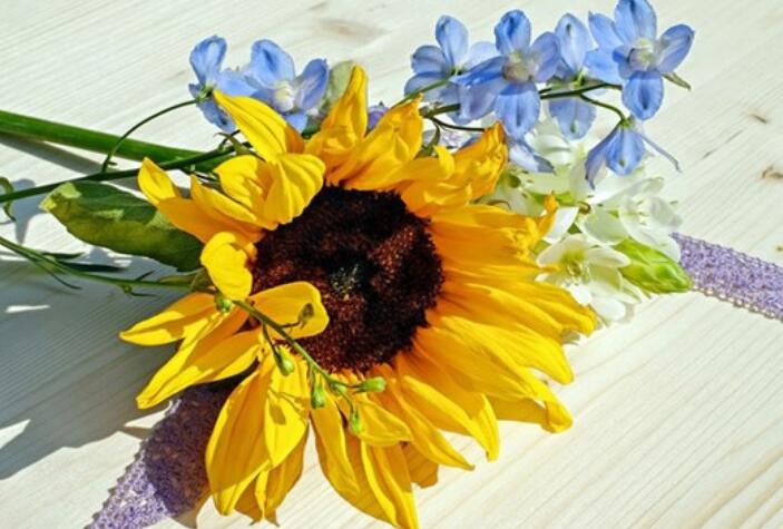 描写心情高兴的一段话