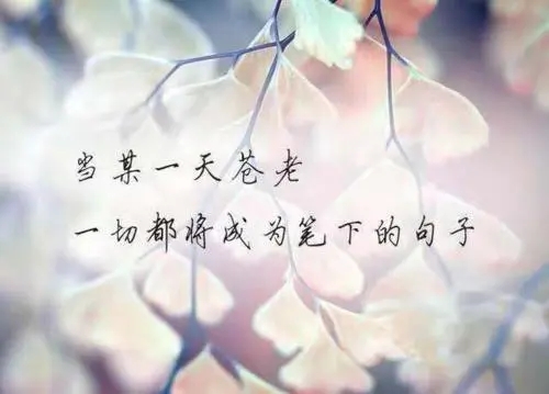 霸气伤感句子文案句句心痛短句