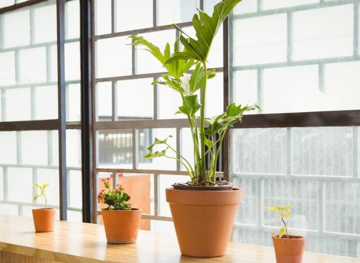 关于别人不理解你的句子文案