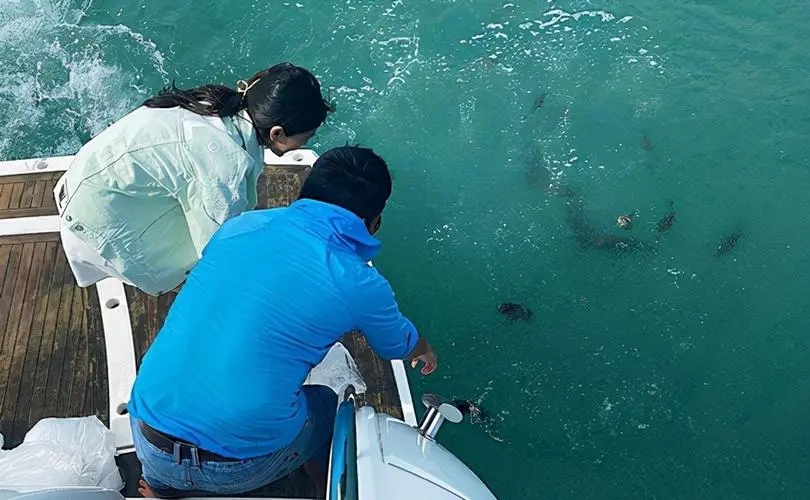 很酷很撩人的英文句子文案