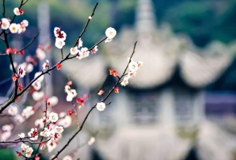 努力拼搏的文言文句子文案