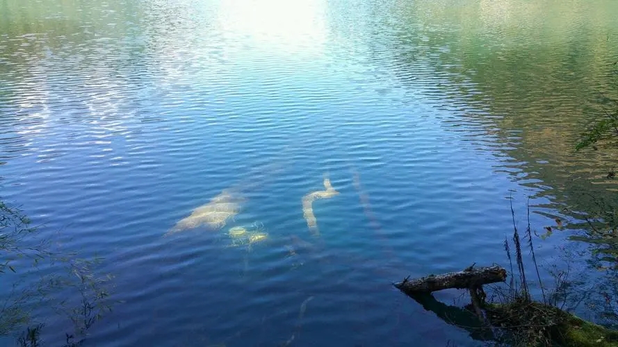 形容湖水的词语