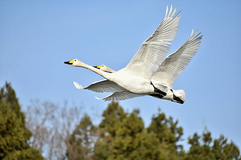 情人节搞笑说说文案短句爆笑