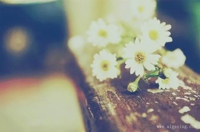 鼓励心情好的句子文案