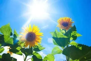 霸气战场励志的句子文案