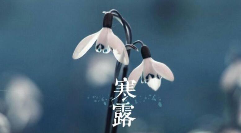 寒露节气的含义诗词