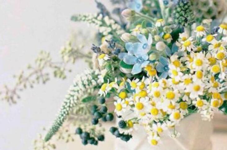 关于岁月优美片段摘抄