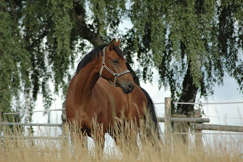 让对方心疼的晚安说说文案