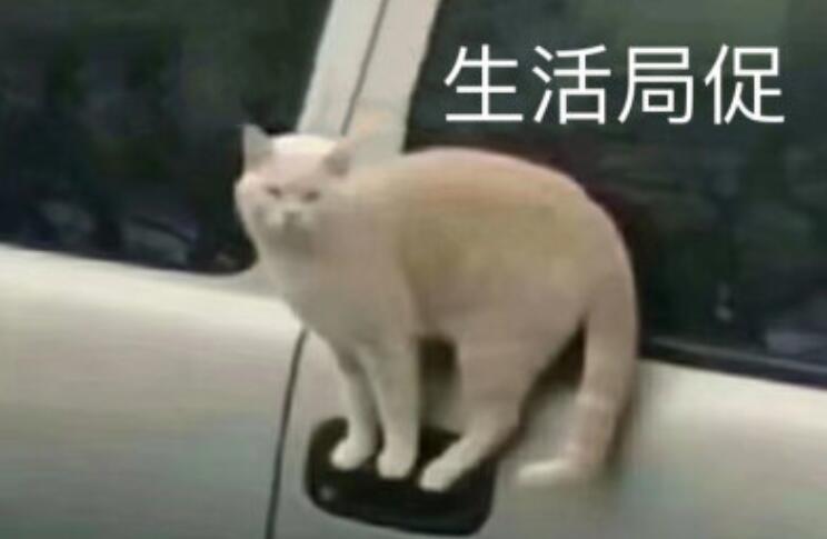 用一句话表达太难了