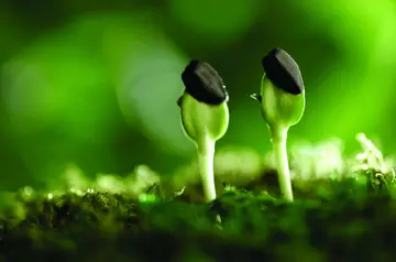 描述选择困惑句子文案