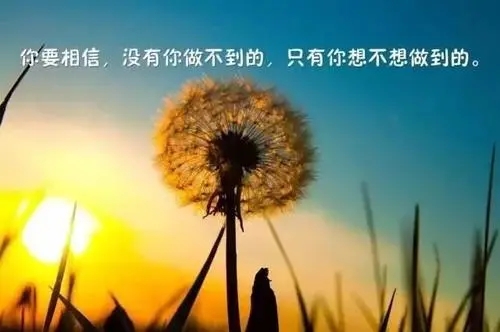 美丽的哲理短句