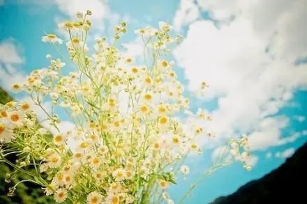 做一个有底气的女人的说说文案