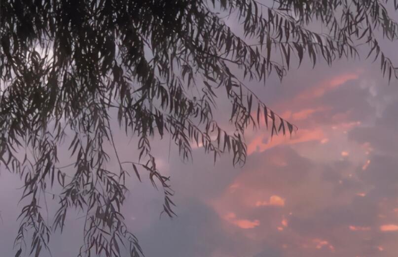 同事照片发朋友圈说说文案