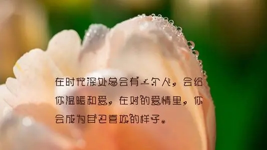 表示一天美好心情的英语句子文案
