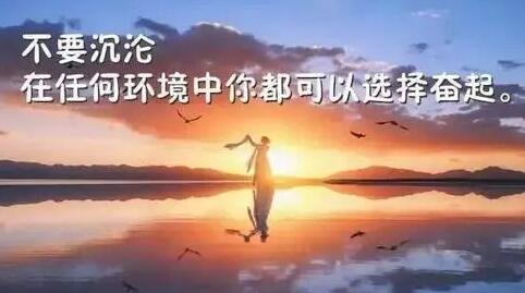 让人开心的心灵鸡汤