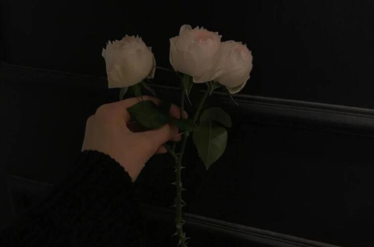 放手爱情语录文案