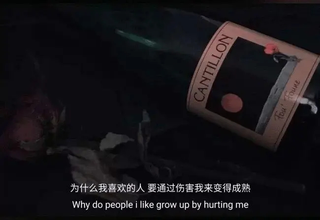 既骚又文艺的句子文案