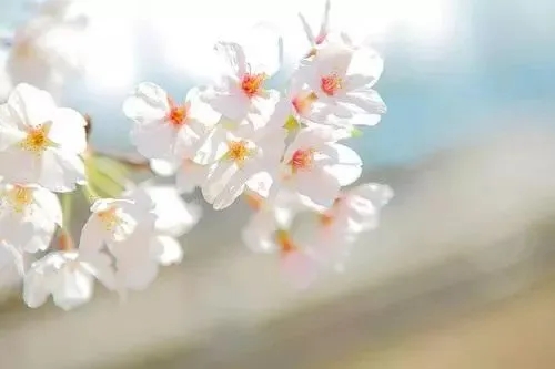 辛苦的句子文案