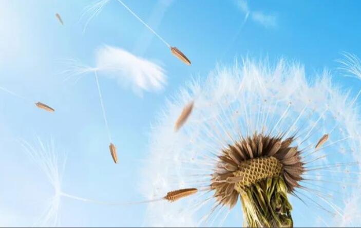 150字的读书笔记大全