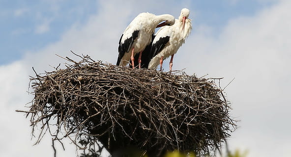 失去心爱的东西的说说文案