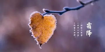 关于霜降的句子文案