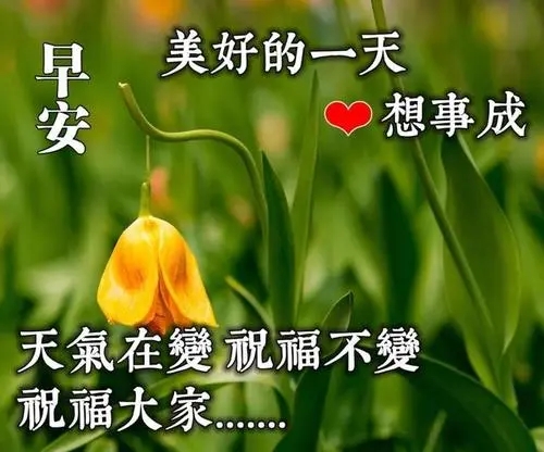 周六愉快早安的句子文案