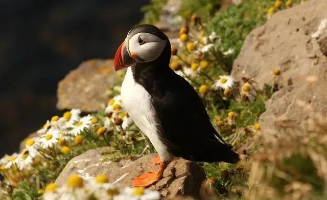 描写春天的好词好句文案