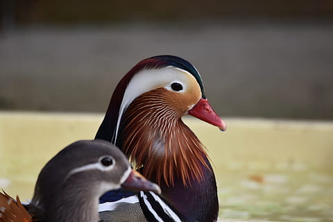 情人之间的暖心问候