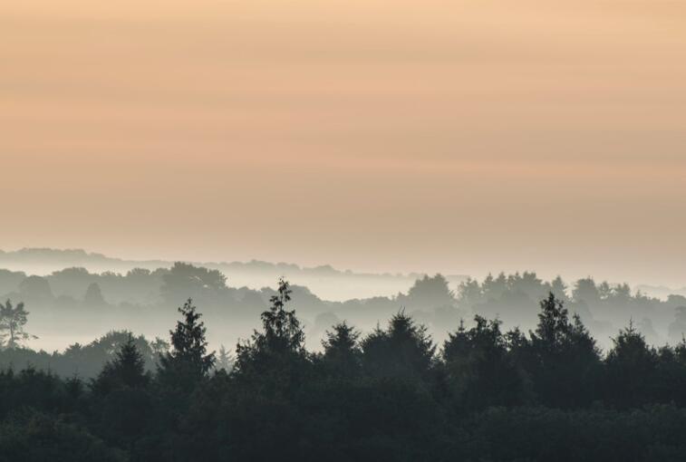 关于骨气的名言