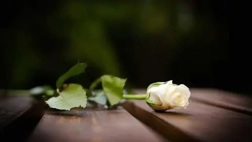 一丝淡淡的伤感的句子文案