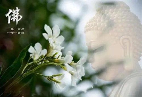 佛说缘分尽了的句子文案