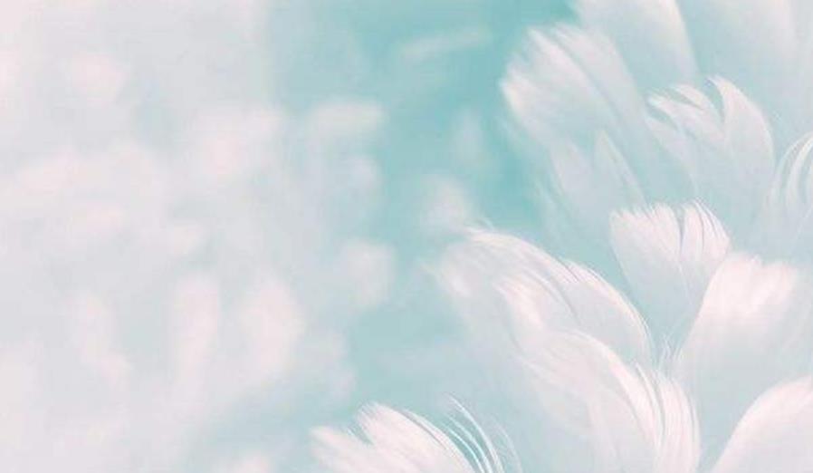 家族野炊说说文案