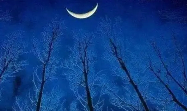 描写月亮的好句文案摘抄大全