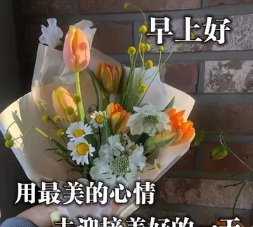 夏天早安问候语简短一句话