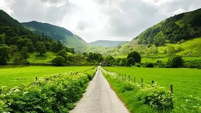 中午好问候图片大全