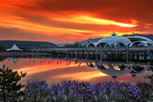 表达爱自己家乡的句子文案