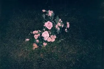 夜深了心情不好的句子文案