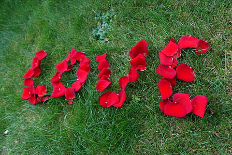 甜蜜短语几个字的