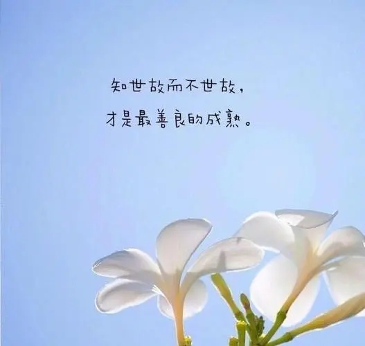 路是自己走的经典句子文案