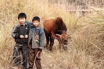 断兄弟之间关系的句子文案