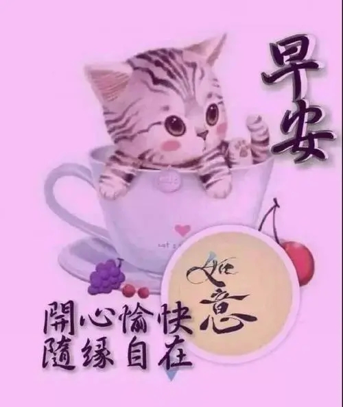 适合周一群发的短信