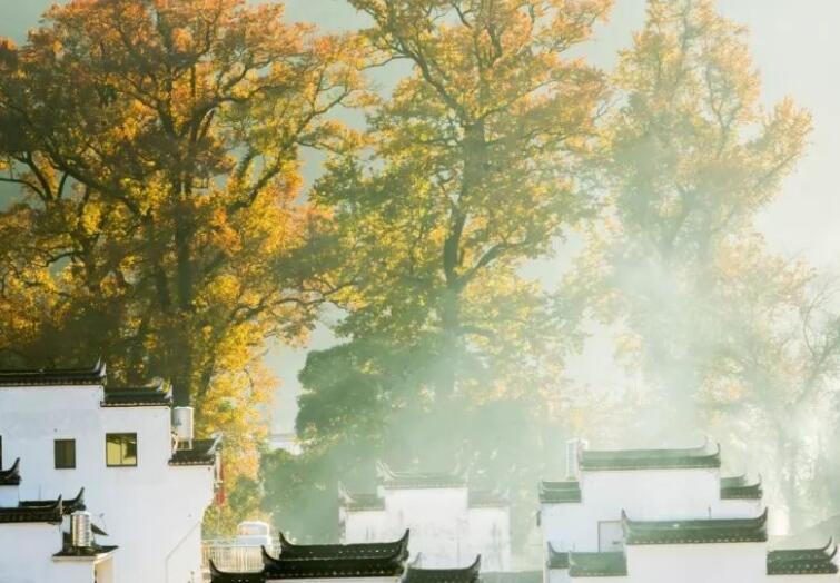 表达乡村的句子文案