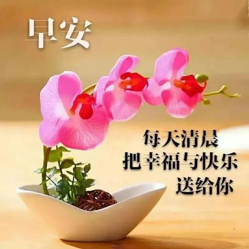 朋友早上问候语简短