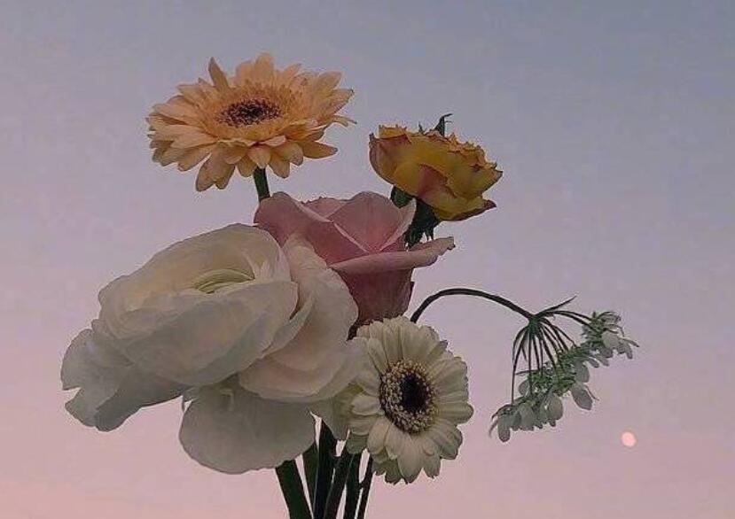 打动人心的早安心语